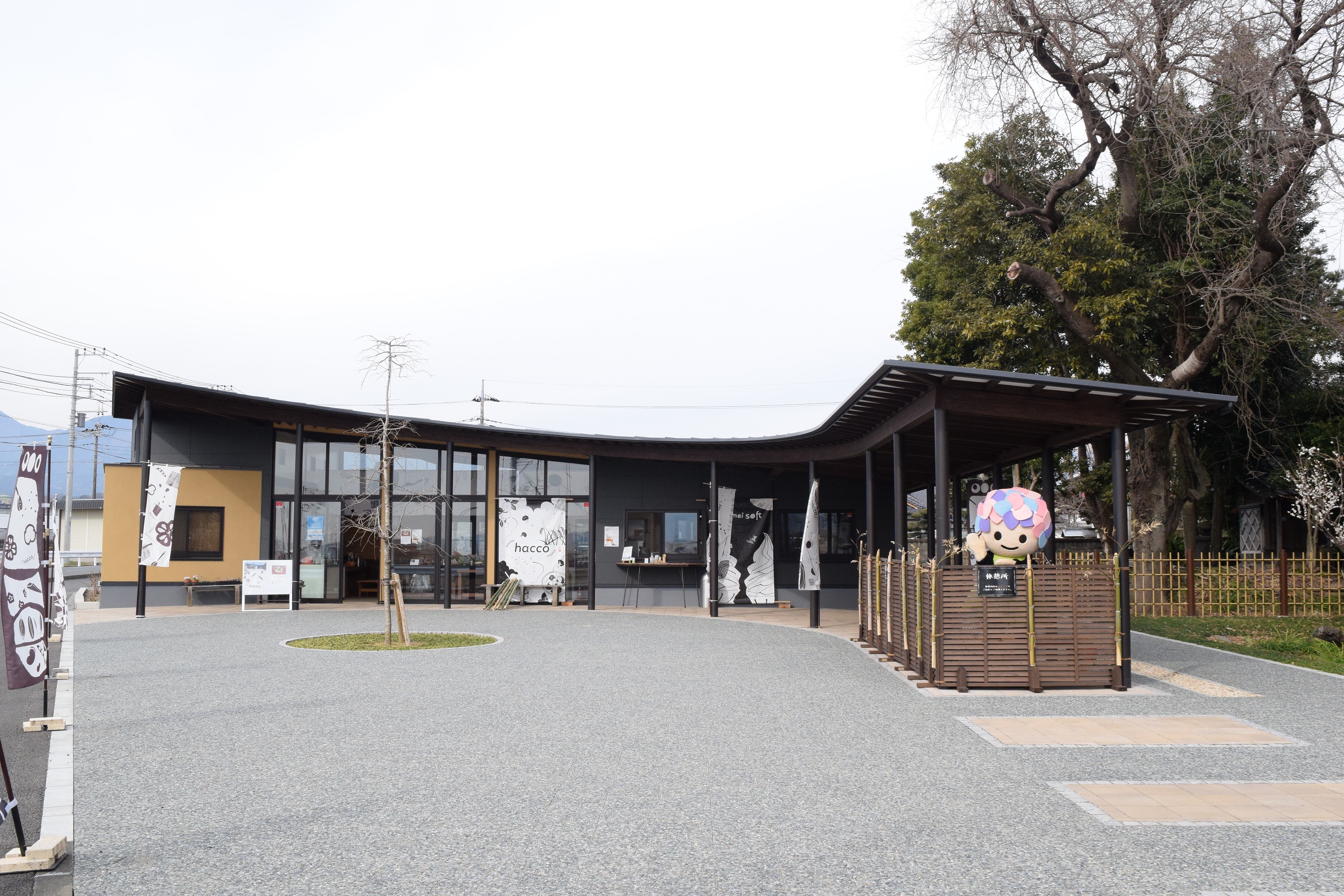 瀬戸屋敷の真価とは？ひなまつり・発酵カフェの混雑と実態を徹底検証