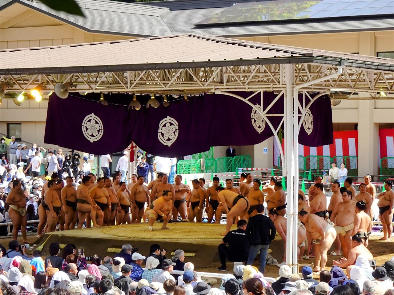 大相撲春巡業2026完全ガイド！日程チケットと力士ふれあい攻略法