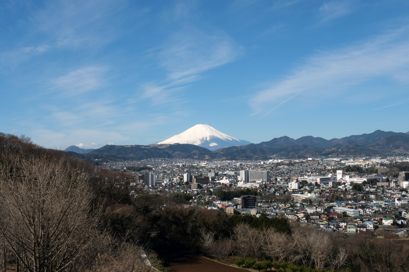 弘法山の桜と富士山絶景！初心者向け登山と混雑・温泉攻略【2026】