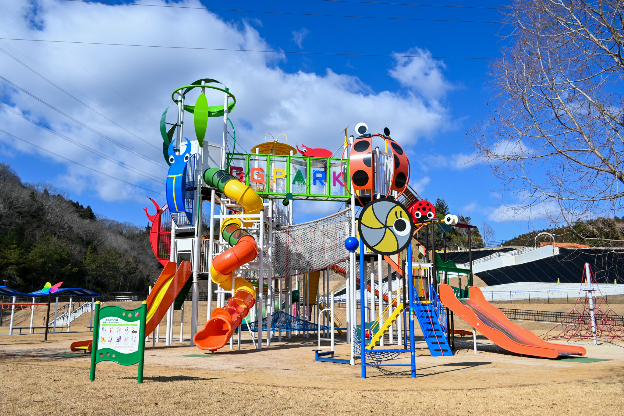 権現総合公園2026最新ガイド！キャンプ場予約と混雑・口コミ徹底解剖