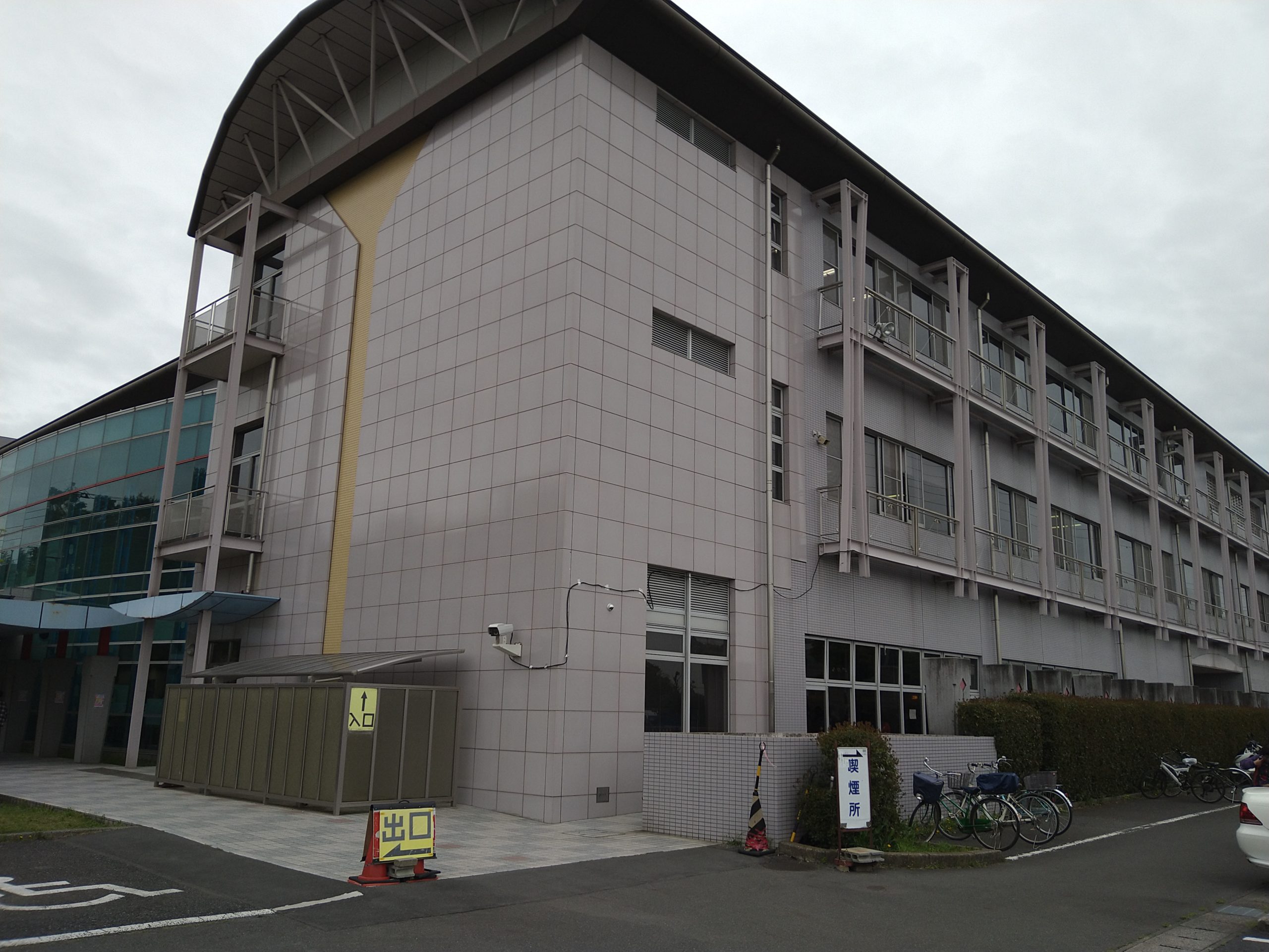 流山運転免許センター完全攻略！予約・混雑と更新の落とし穴