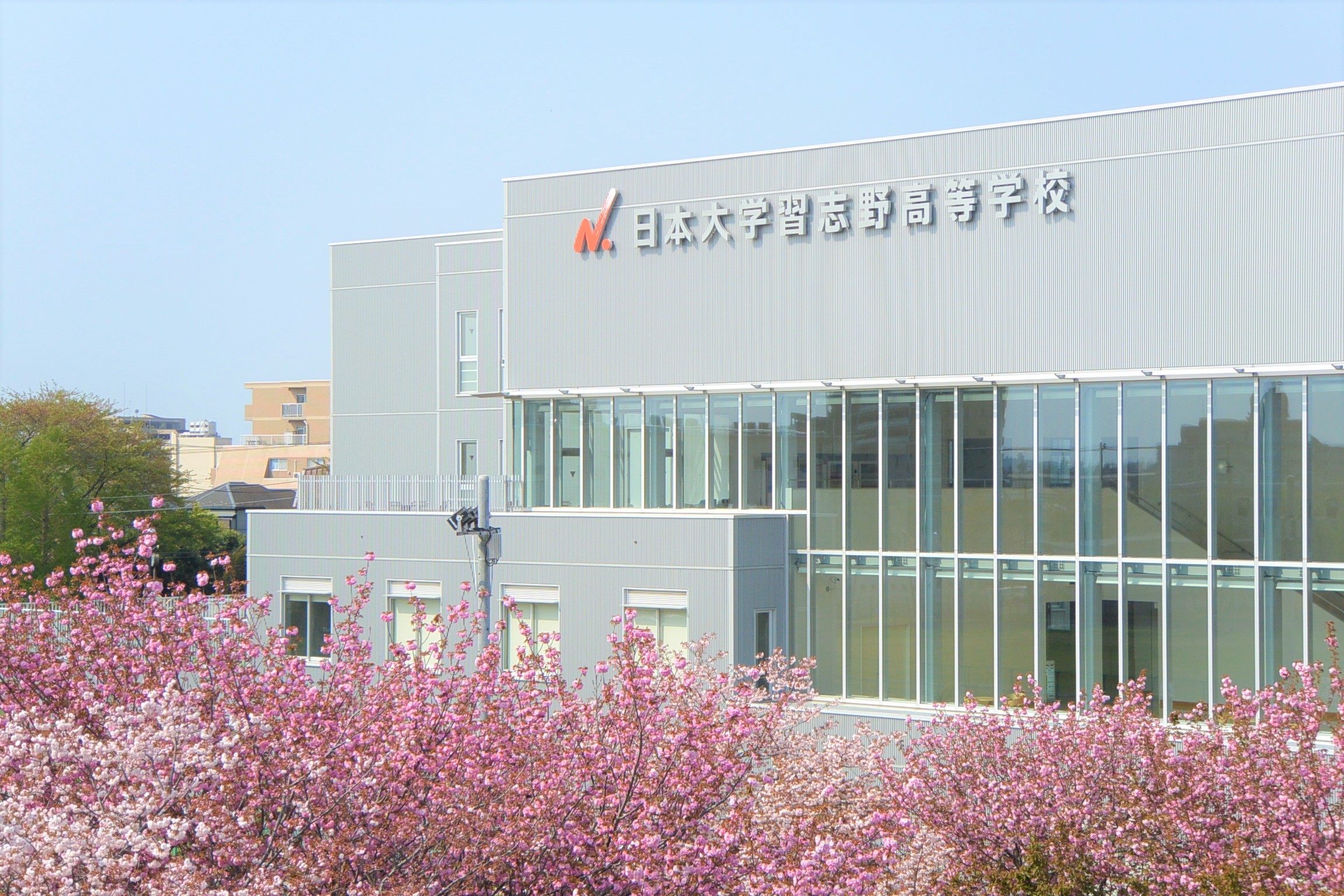 日大習志野高校の偏差値と評判は？他大進学に強い真相を徹底解説