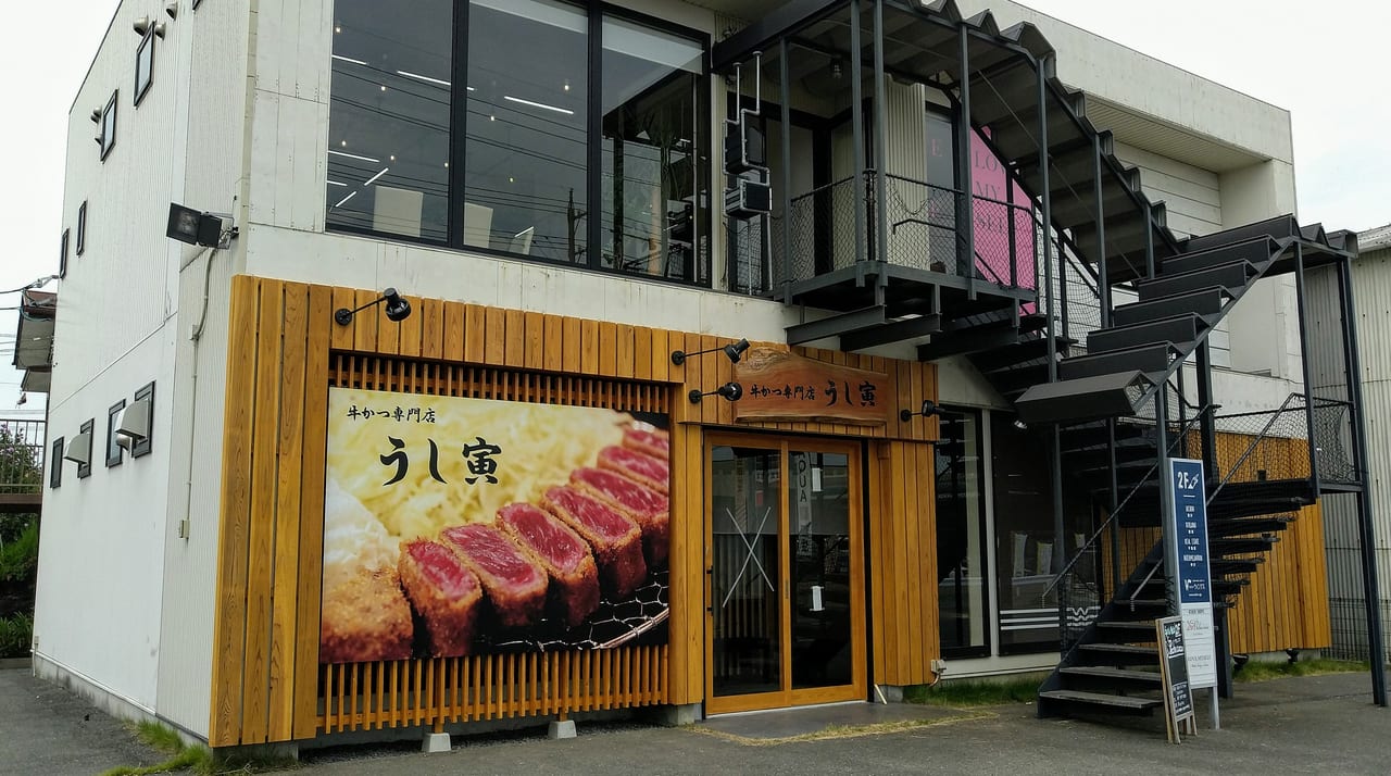 行列必至の牛かつ専門店うし寅！極上レア肉の魅力と混雑攻略を徹底解説