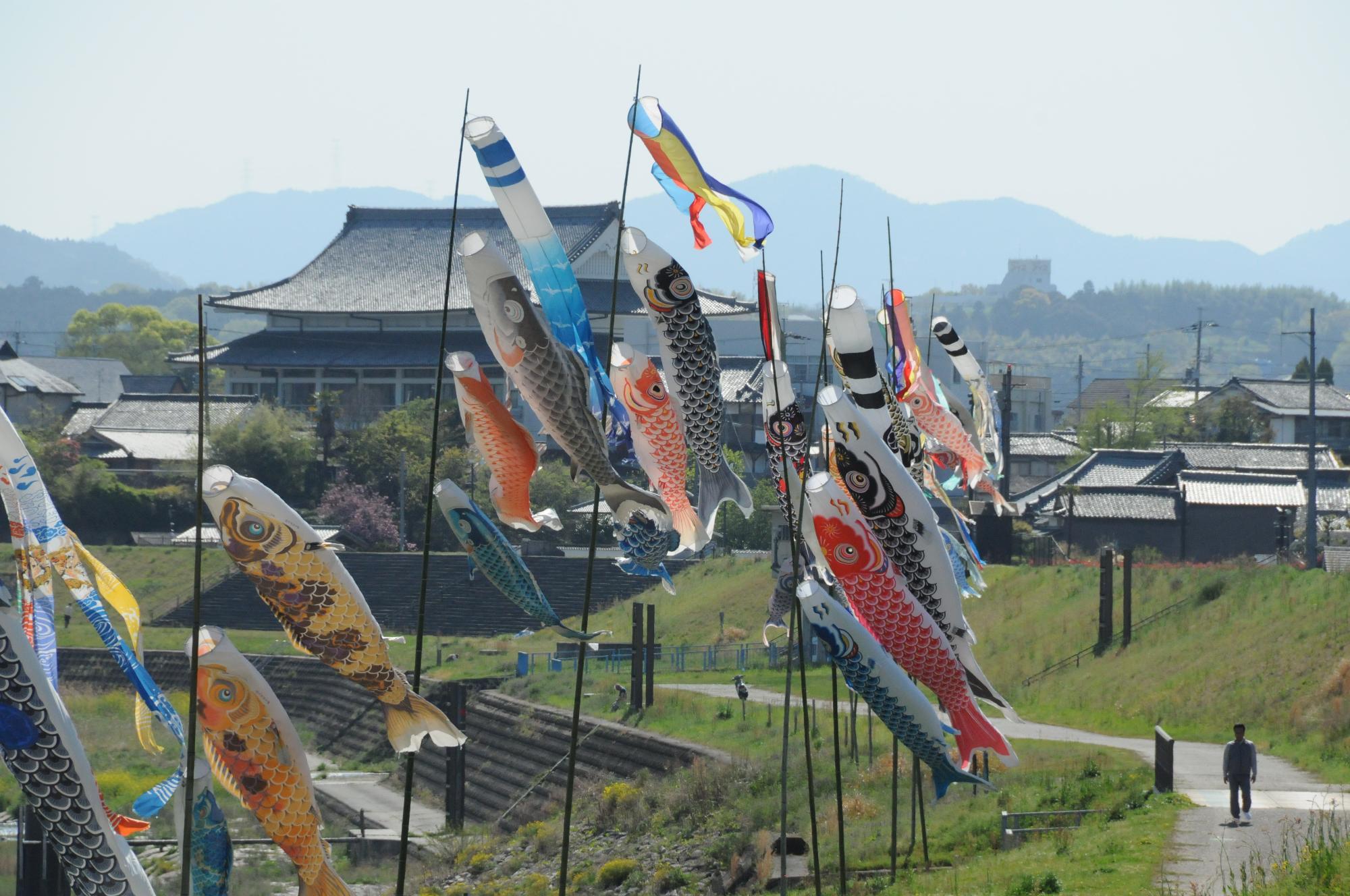 奈良県五條市のメガソーラー問題、真相を徹底解説