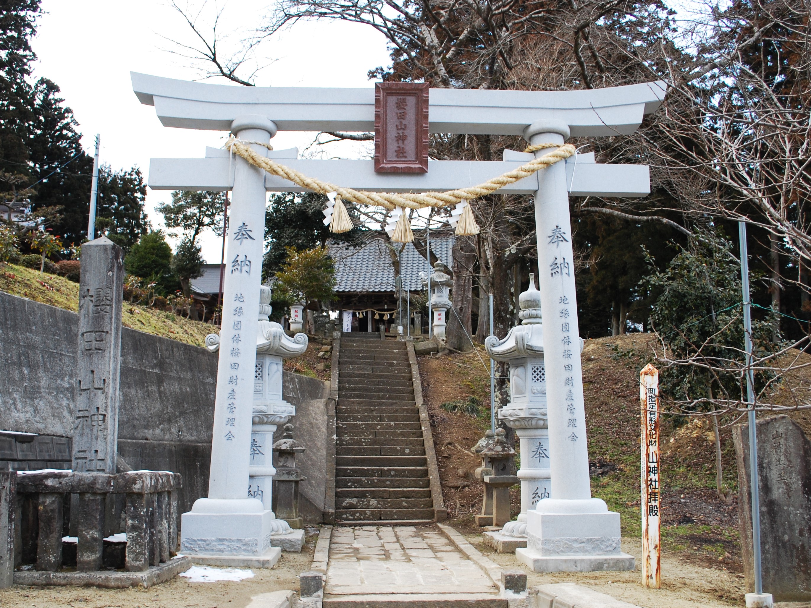 桜田山神社で狩野英孝に会える日はいつ？お守り・御朱印と混雑の真相
