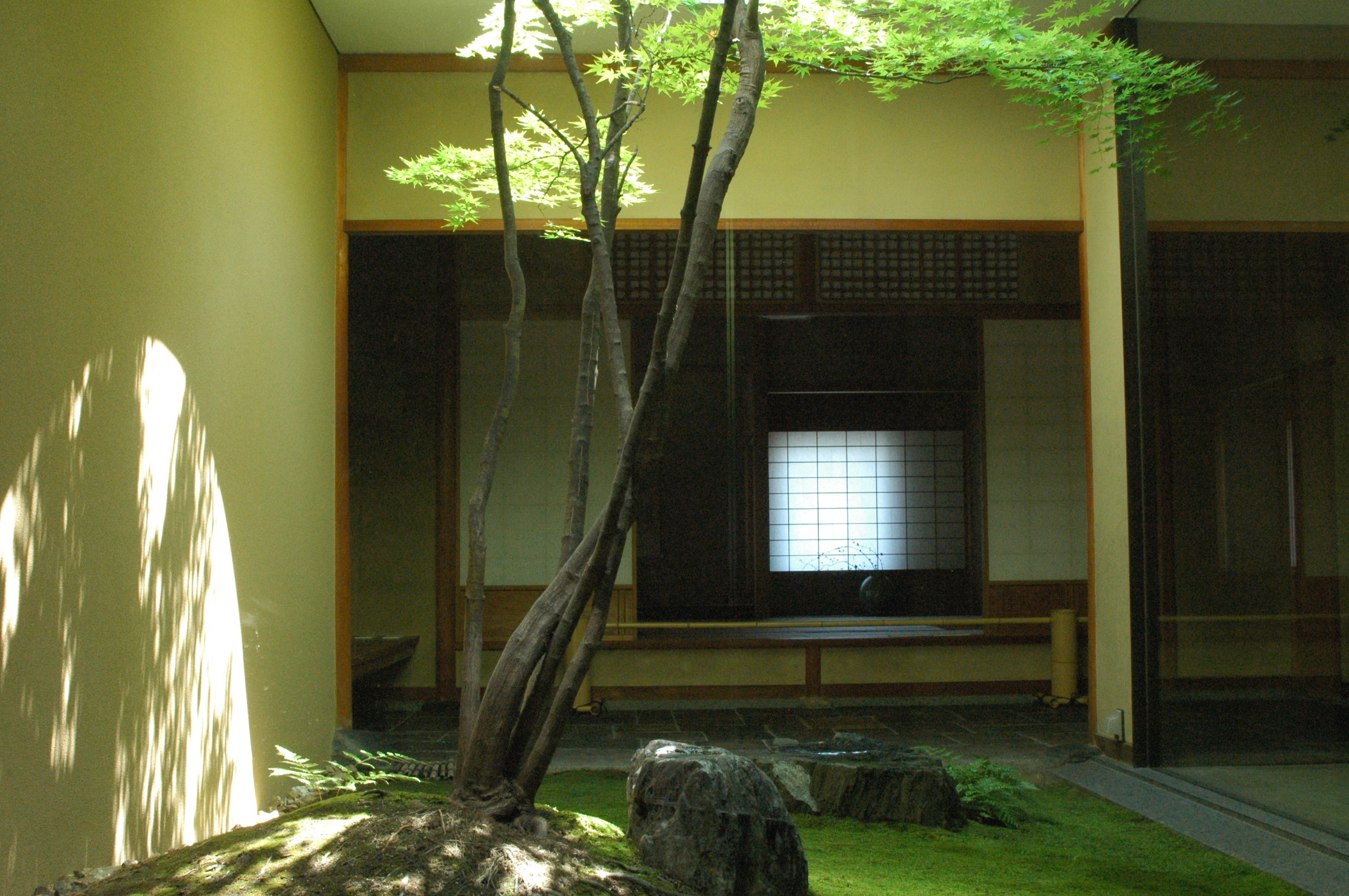 何必館・京都現代美術館に隠された5つの魅力を徹底解説