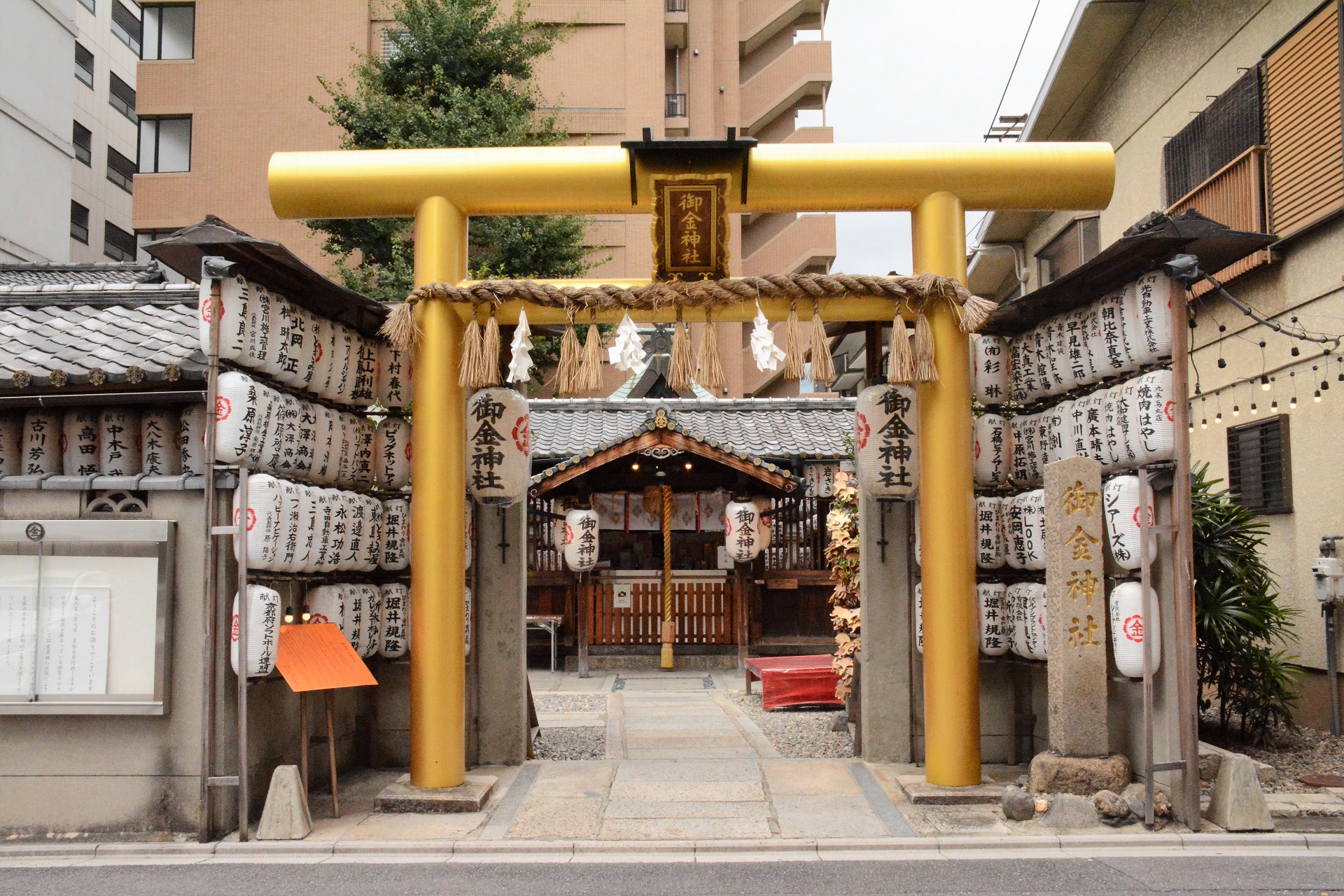 京都の御金神社はなぜ話題？黄金鳥居の由緒や福財布の真価を追う