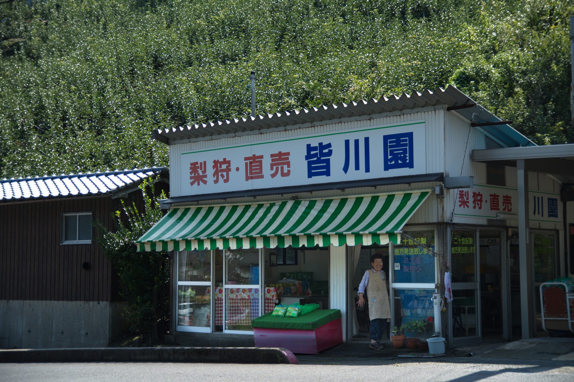 【2026年最新】老舗銘茶店「皆川園」の評判とおすすめ商品を徹底調査