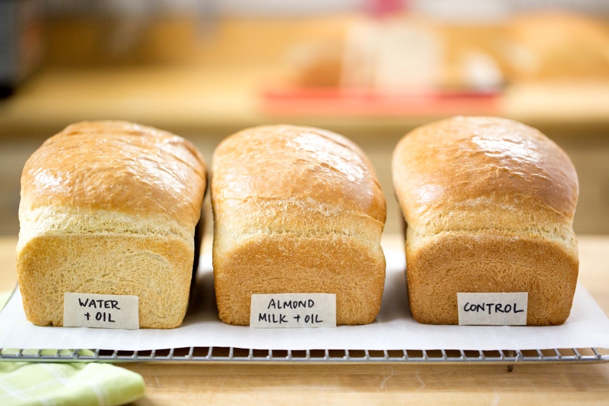 Dry Milk Substitute in Bread