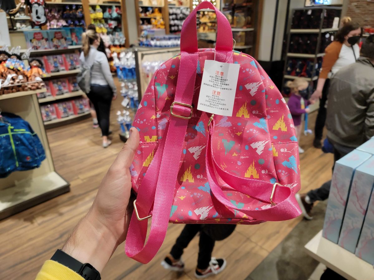 Disney Rules on Bags