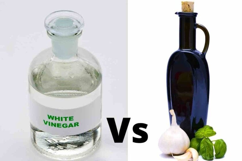 Is White Vinegar the Same as Distilled