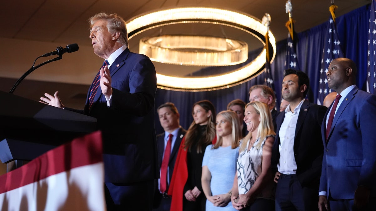 New Hampshire Battleground: Trump-Endorsed Candidate Claims Crucial Gop Primary Victory