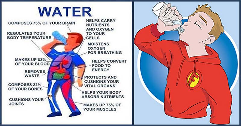 Should I Drink Water If I Feel Like Throwing Up