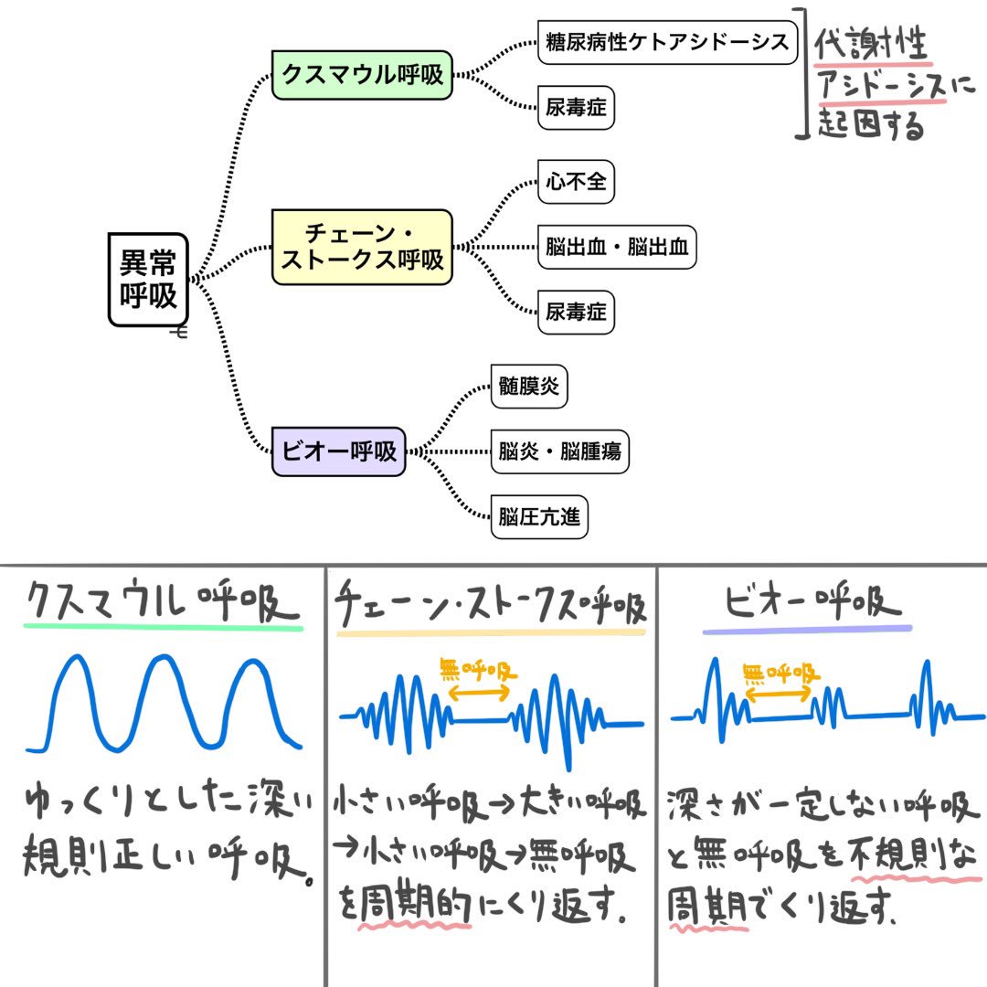 チェーンストークス呼吸の原因と余命｜死戦期呼吸との違いと看取りケア