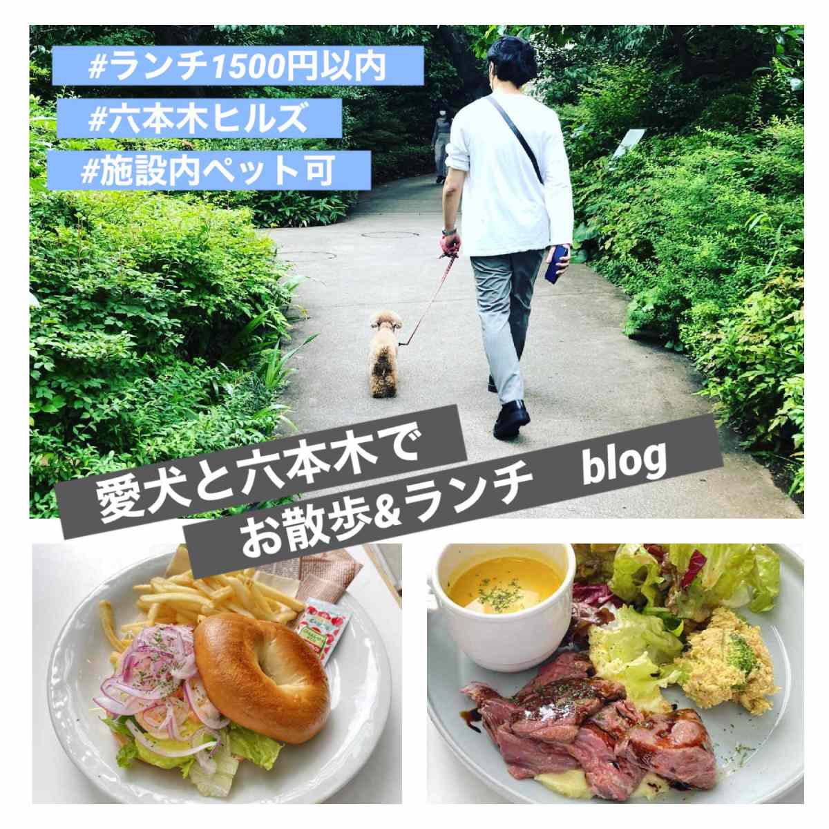ペット同伴可ランチの真実！室内Ok名店と後悔しない選び方2026