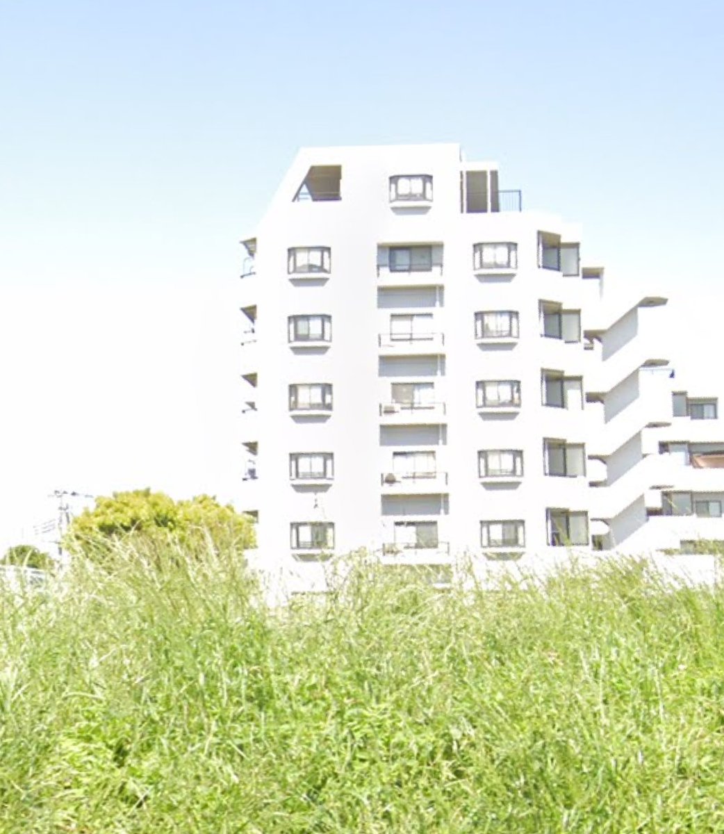 新木優子の実家はお金持ちって本当？父親の職業と板橋区説の真相を徹底調査