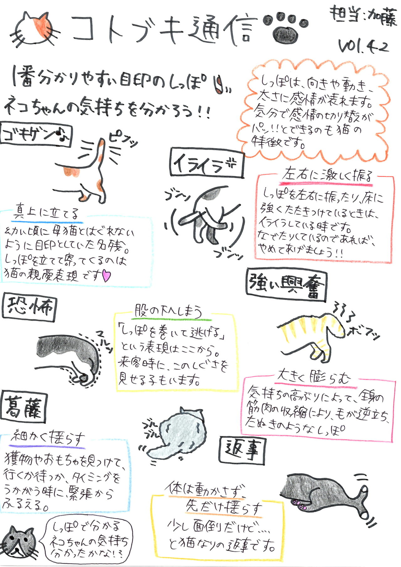 猫が尻尾を左右にゆっくり振る心理とは？不満サインと見分け方を徹底解説