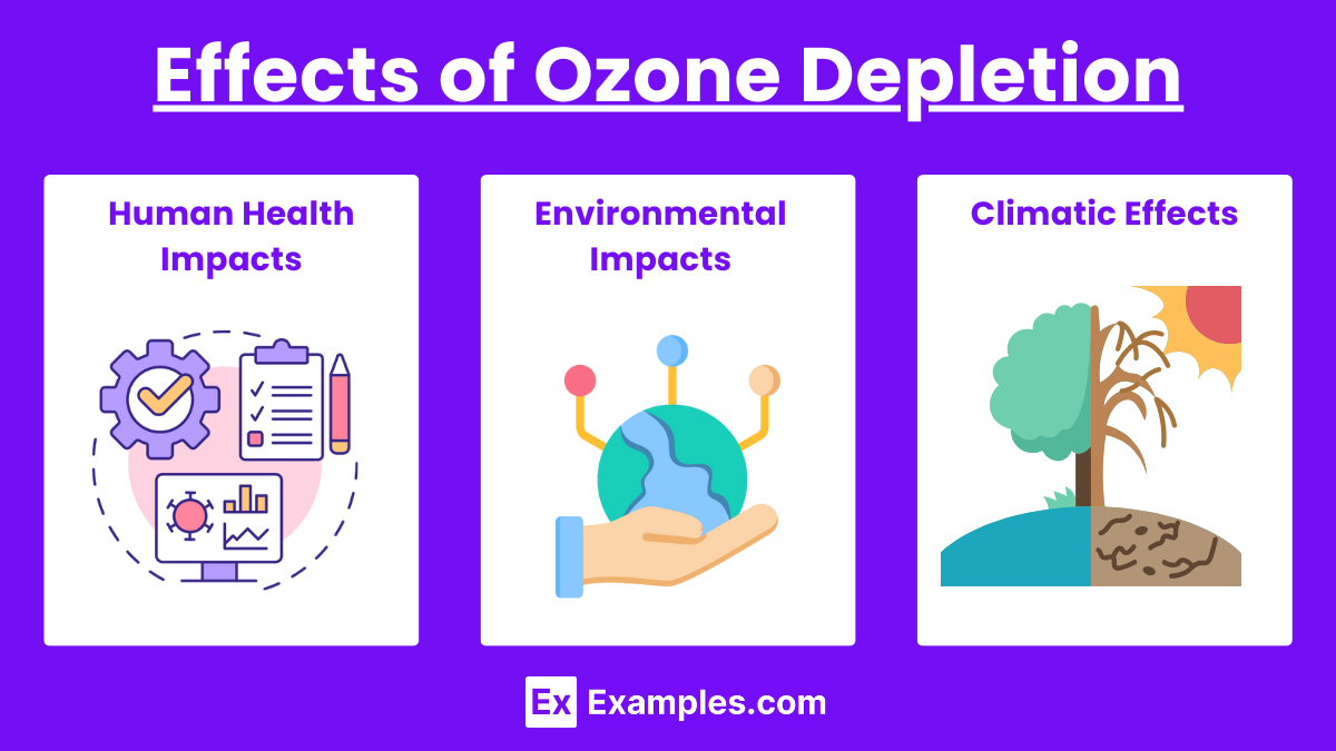 Consequences of Ozone Depletion