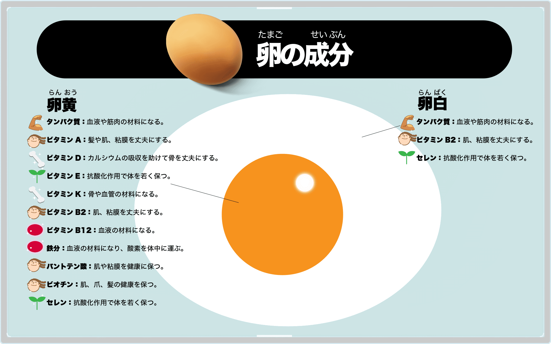 たまごやプリン極上のおいしさの秘密と知られざる製造裏側を独占取材