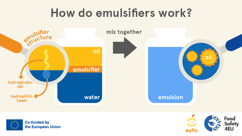 Emulsifiers for Oil and Water