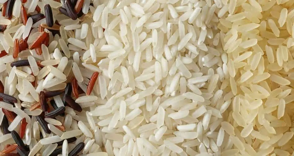Enriched Rice Good or Bad