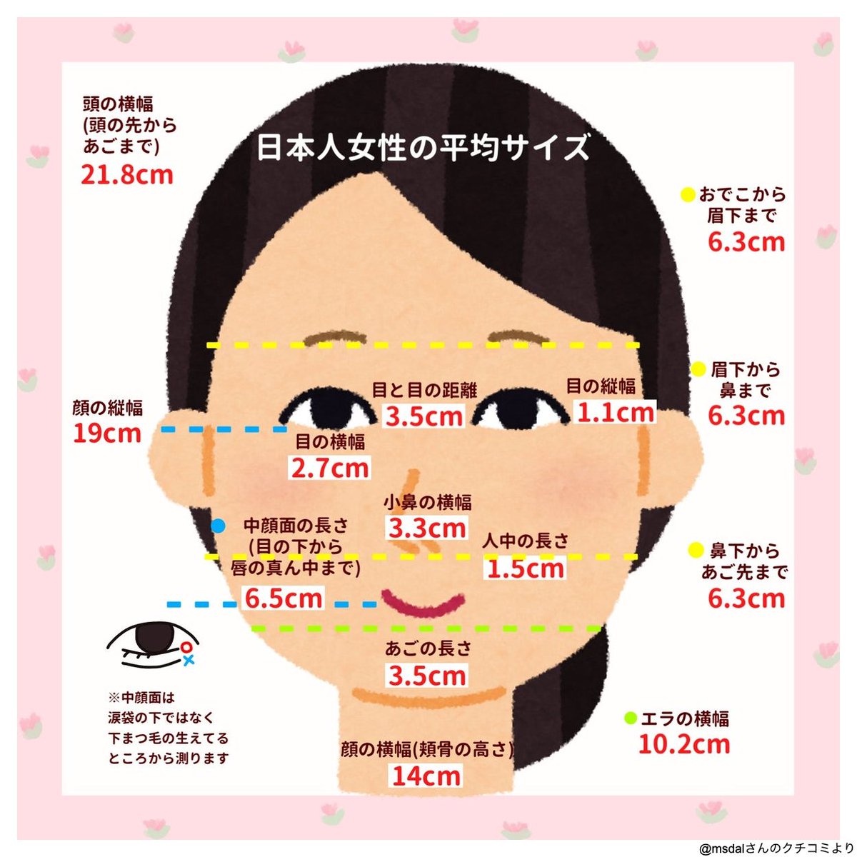 中顔面の長さ平均は何Cm？黄金比でわかる小顔の条件と短縮術