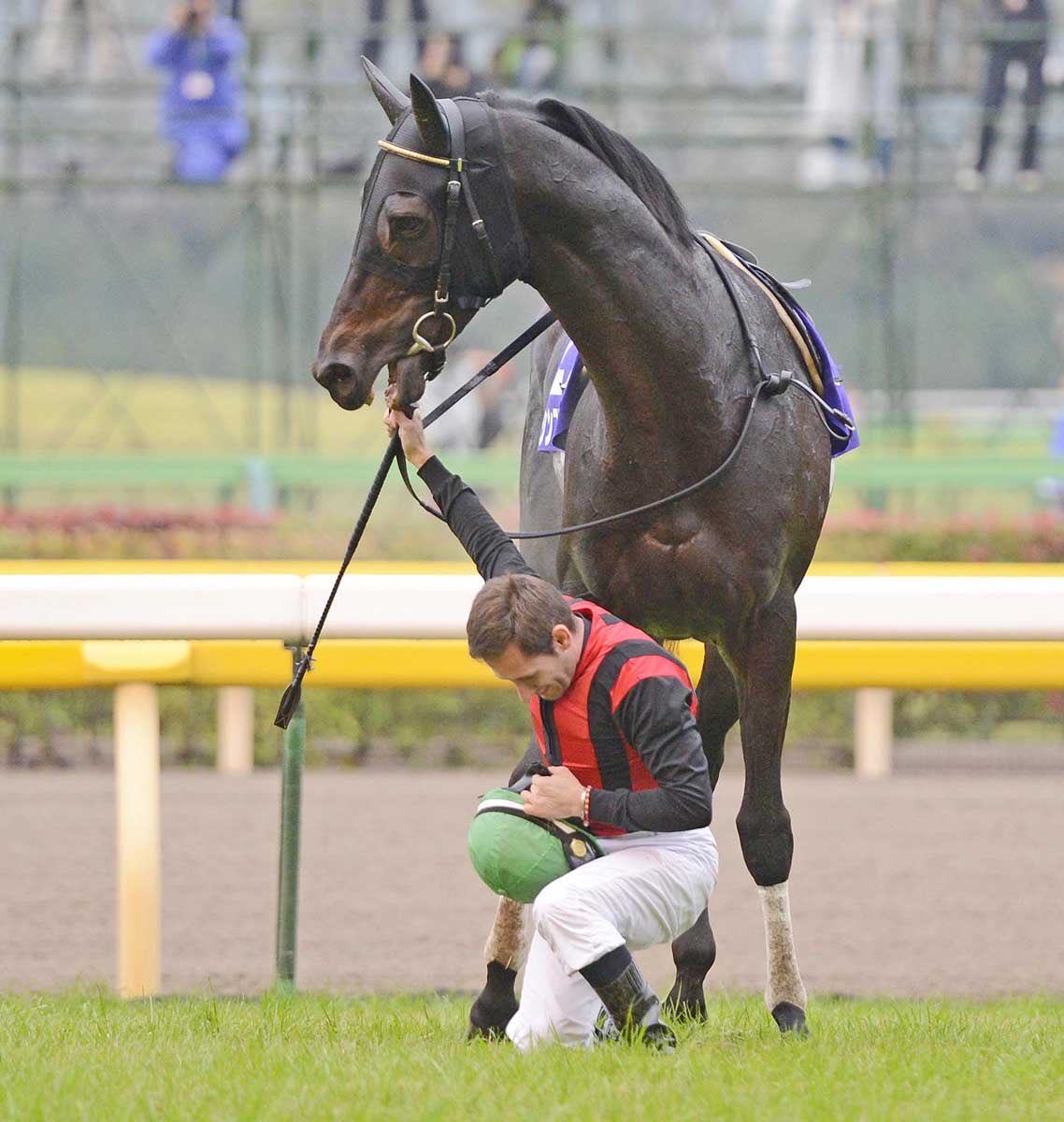欧州各界が総立ちで震えた夜、異例の最敬礼に隠された真相とは