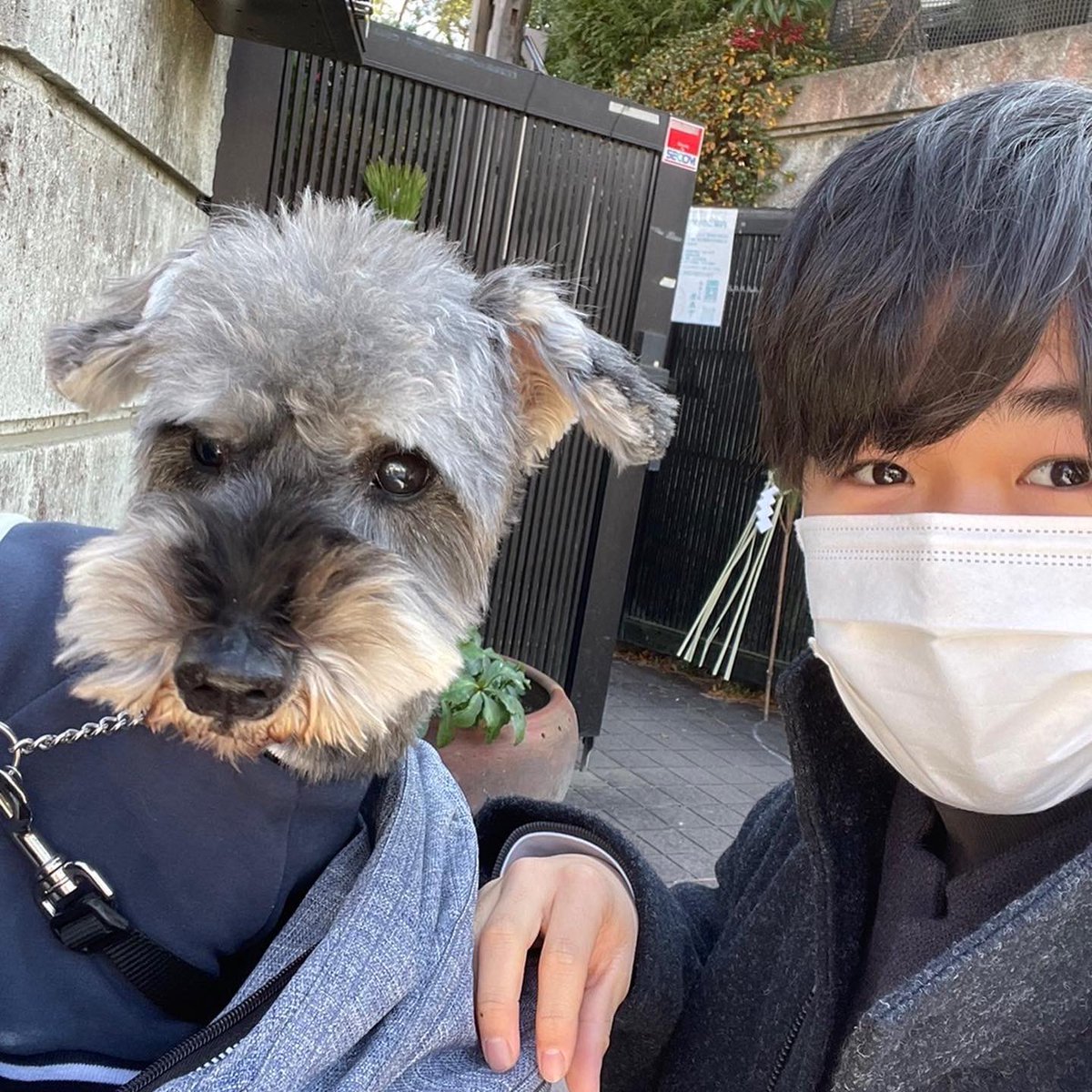 マルモの犬ムックの現在は？生きてる噂と声優の正体や秘話を調査
