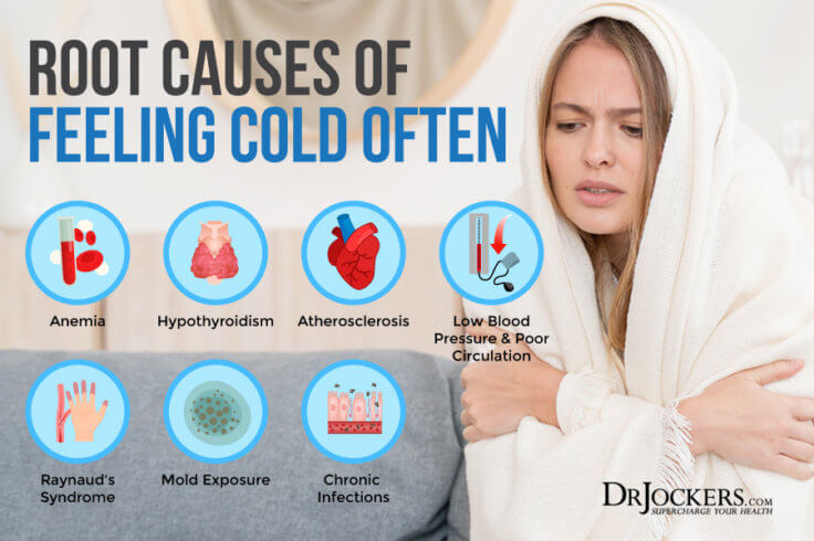 Why Do Older People Feel the Cold