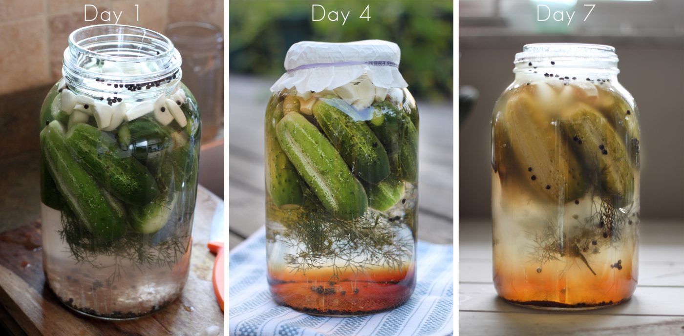 How Long Does It Take to Ferment Pickles