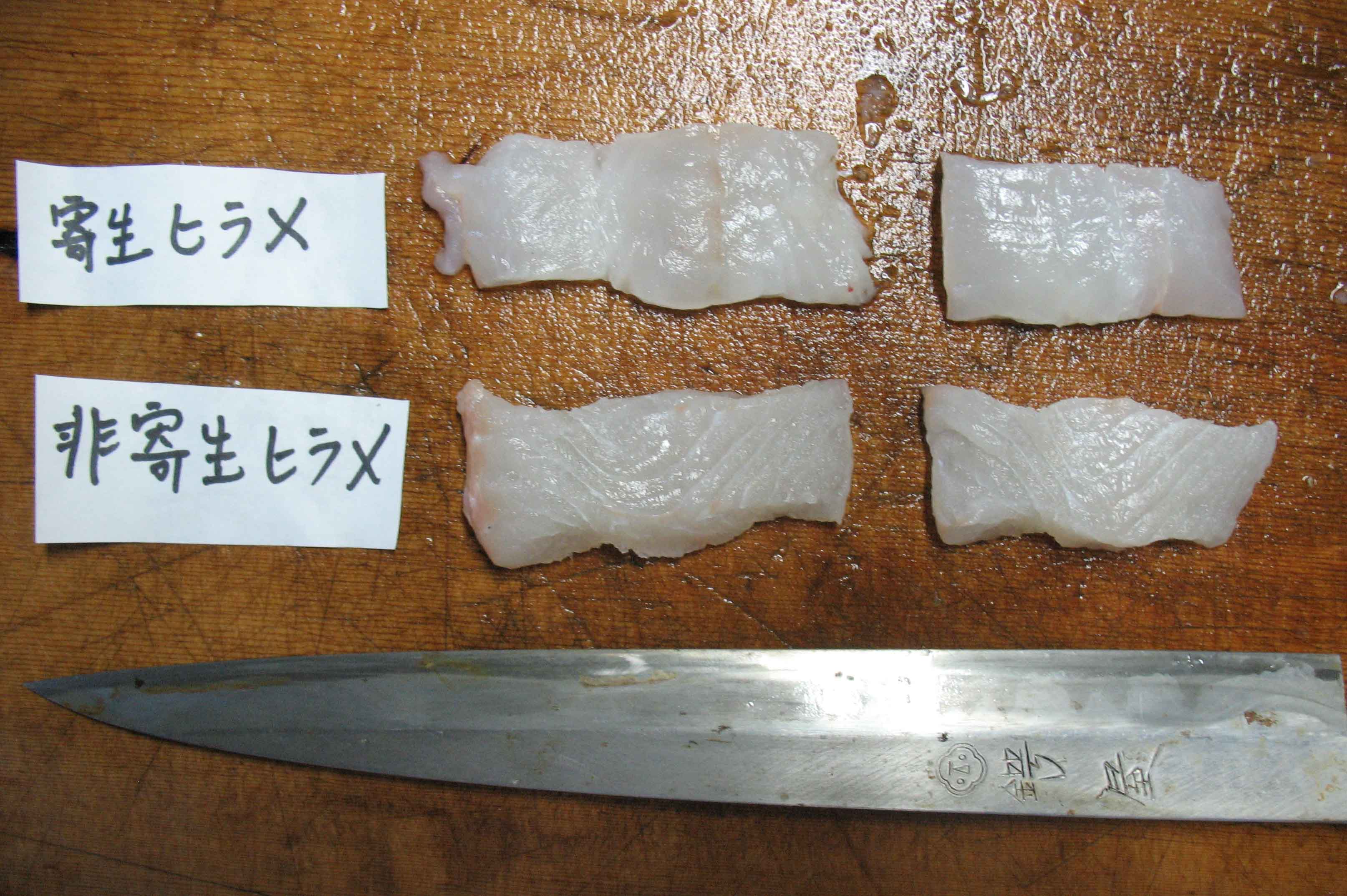 ヒラメの寄生虫クドア食中毒とは？症状・潜伏期間と死滅条件を徹底解説