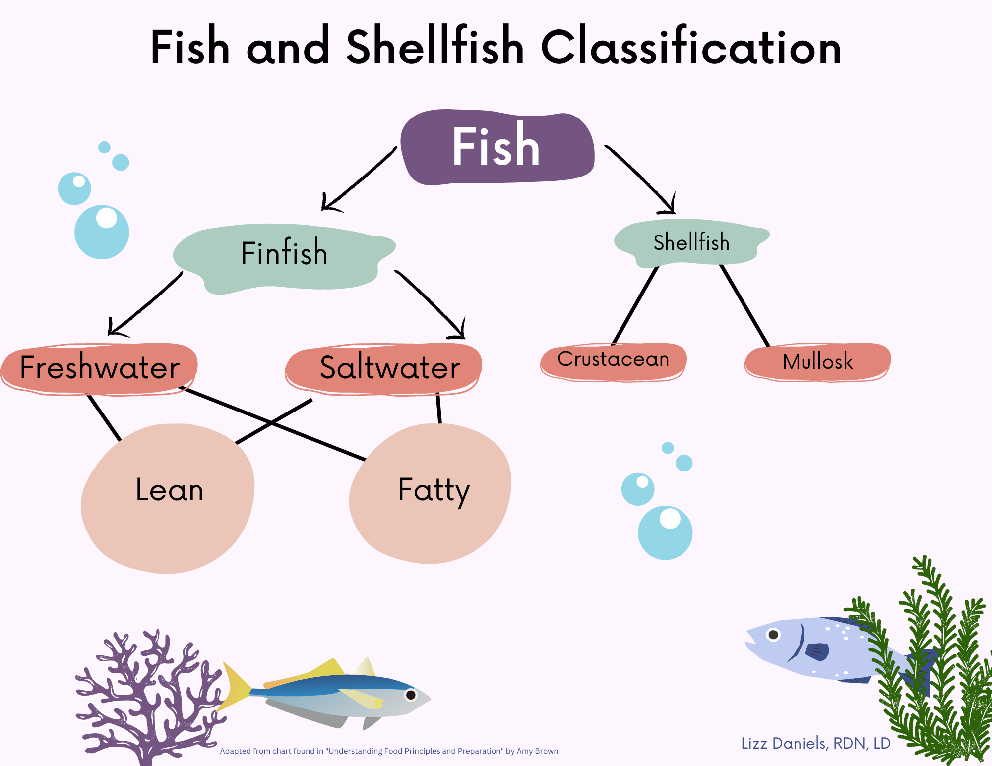 What Is a Fish Classified As