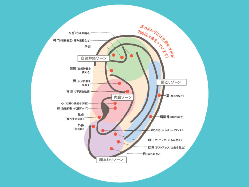 耳たぶのツボが痛い決定的な理由とプロが教える正しい位置・ほぐし方