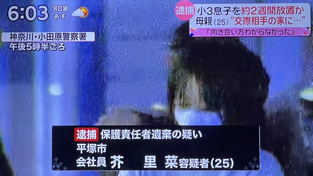 芥里菜の交際相手と熱愛の噂は？結婚や歴代彼氏の真相を徹底追跡
