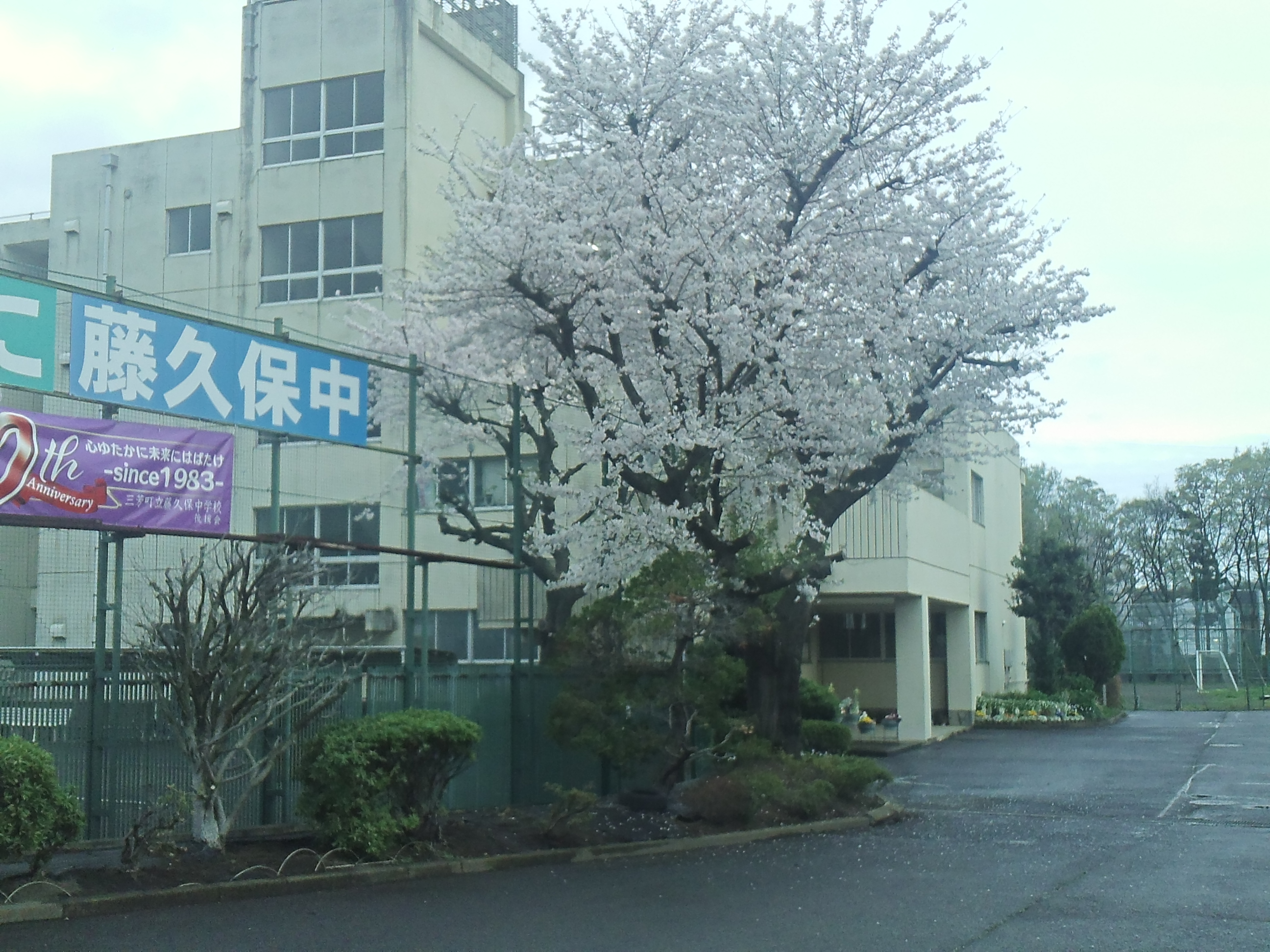 三芳町立藤久保中学校の評判と進学実績！2026年最新の真実を徹底検証