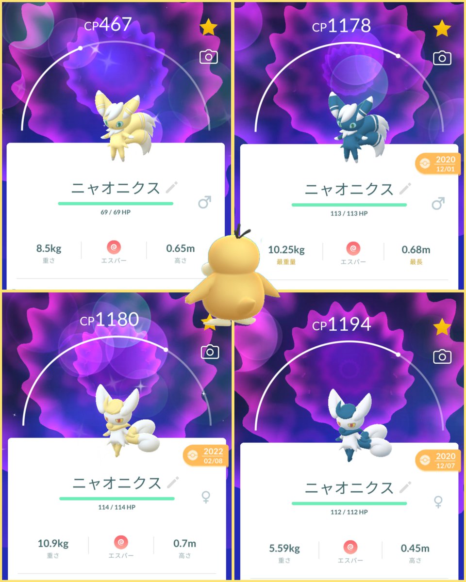 ニャオニクス色違いのオスメス徹底比較！Sv・Go厳選と見分け方