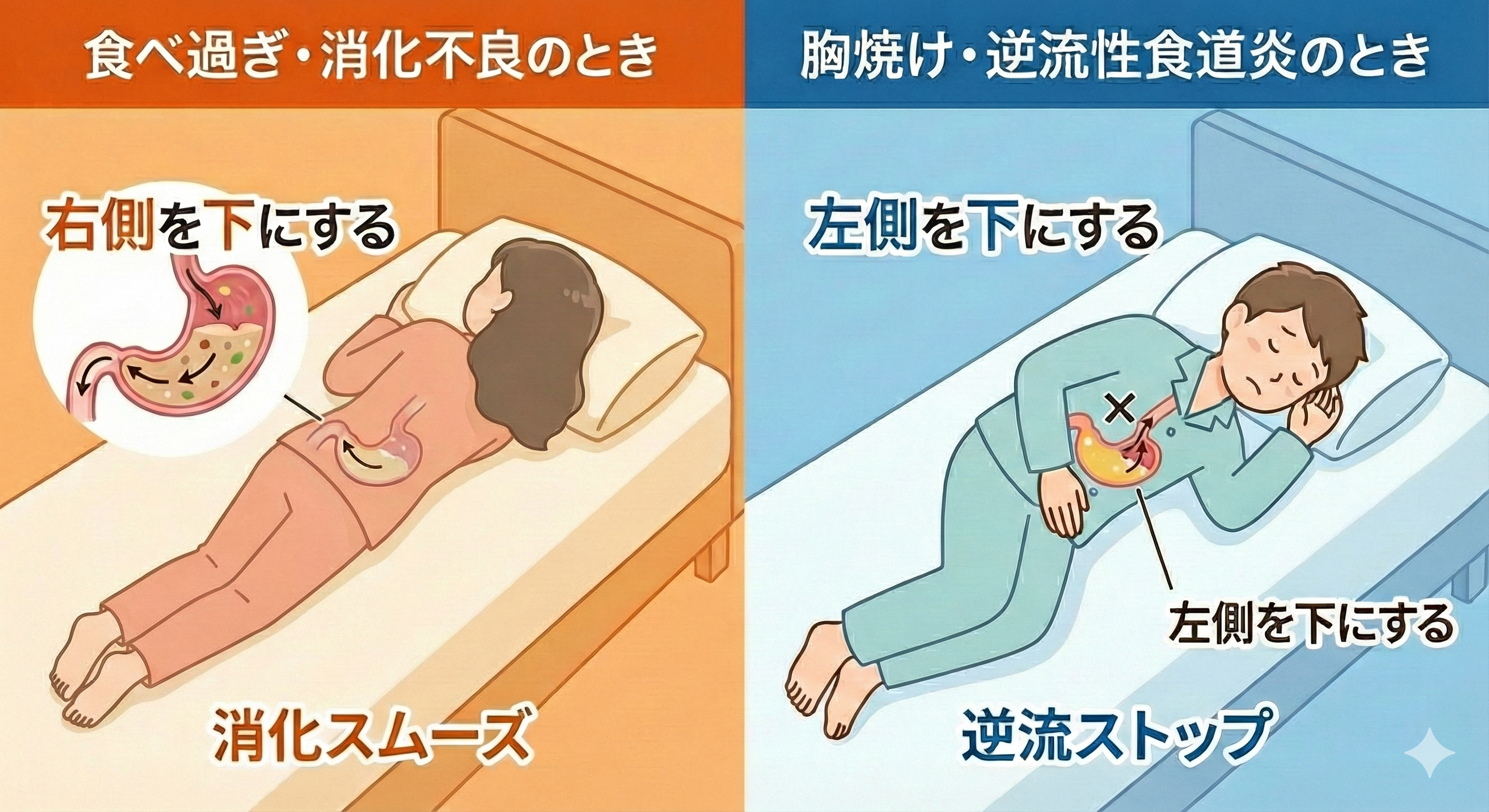 消化を助ける寝る向きは右か左か？胃の構造から導く快眠姿勢の真相
