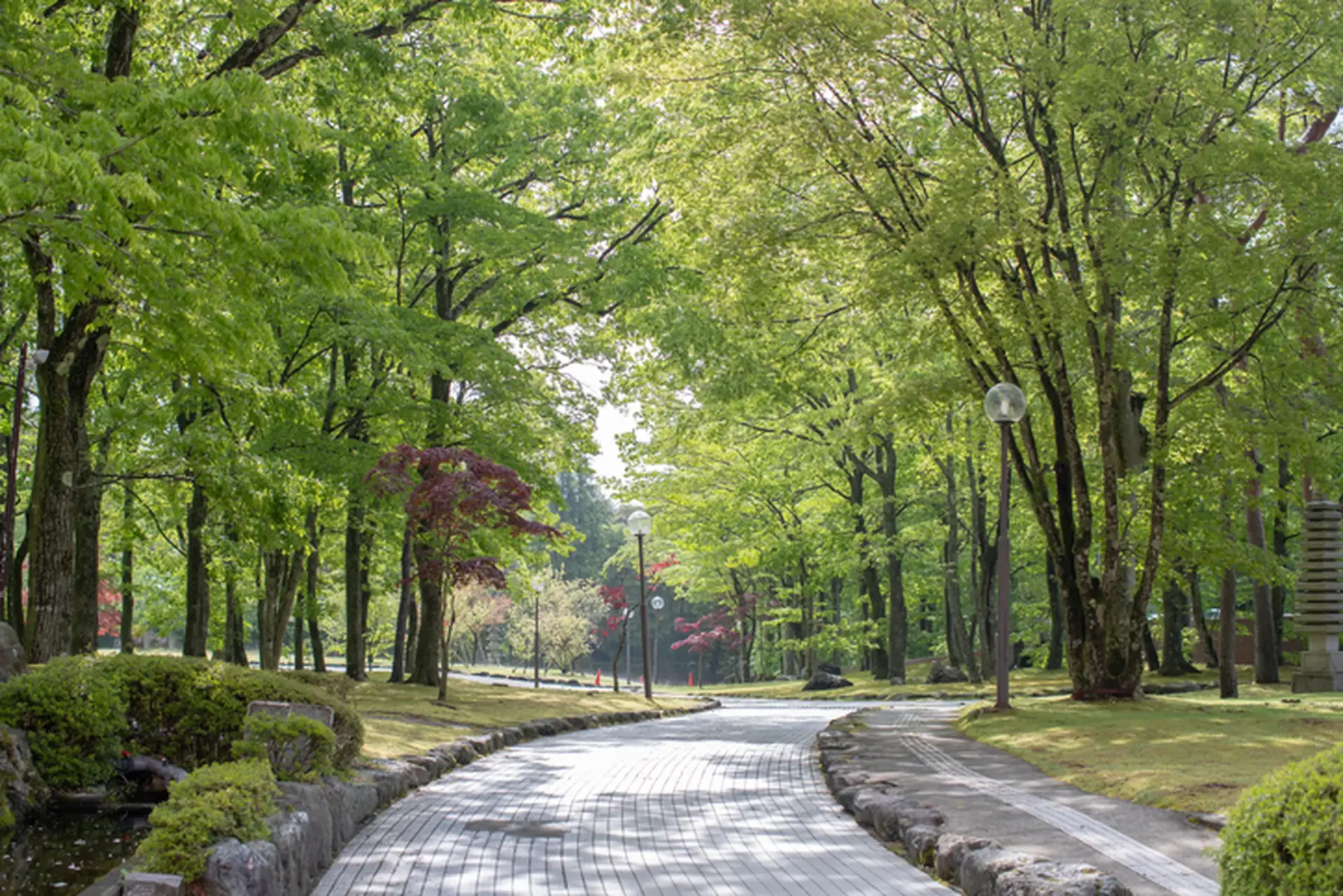 西東京いこいの森公園完全攻略2026｜Bbq予約と混雑回避術