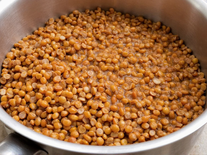 Brown Lentil Cook Time