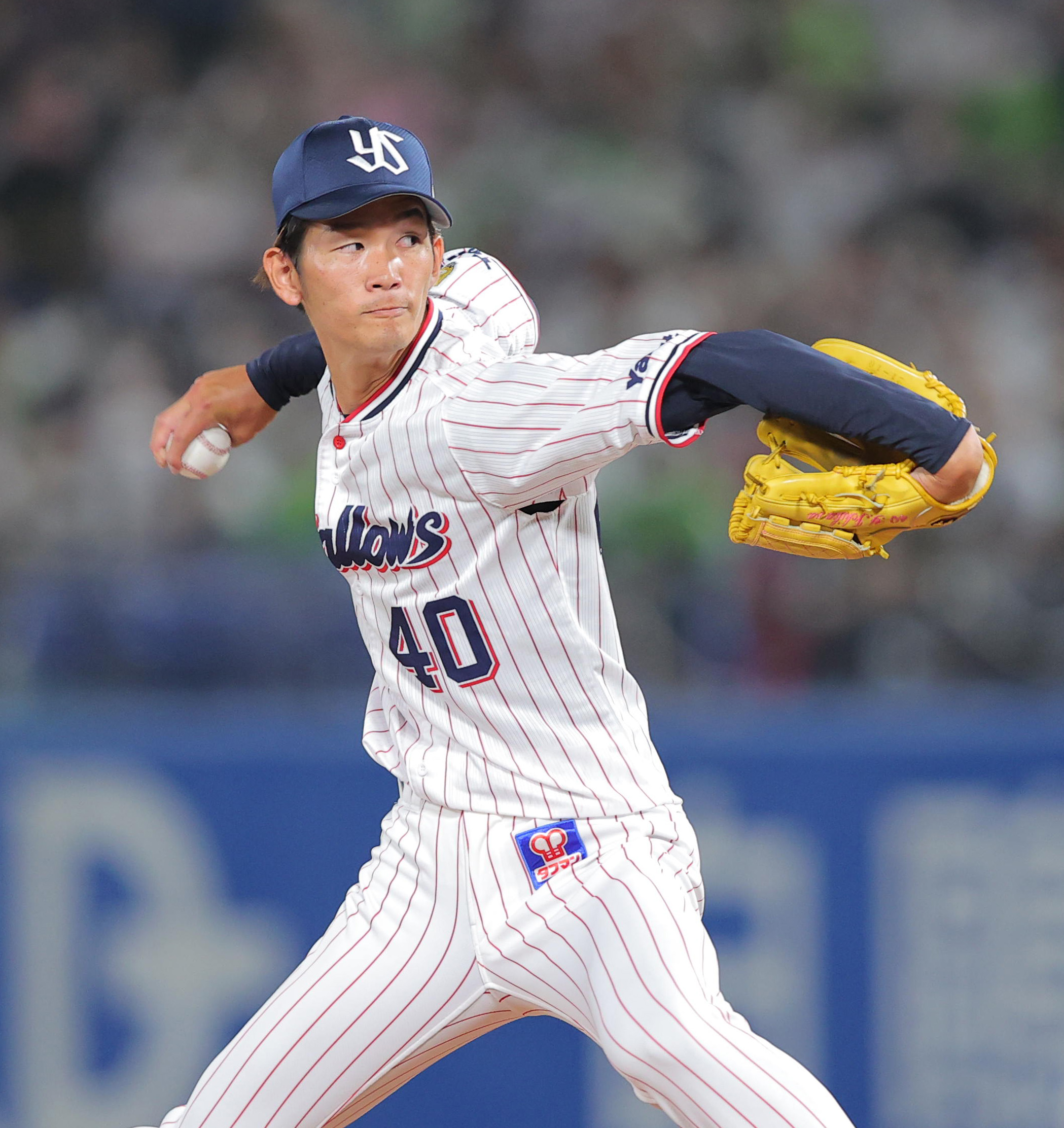 市川ヤクルト最新覚醒論！起用方針と球界裏データが明かす衝撃の真実