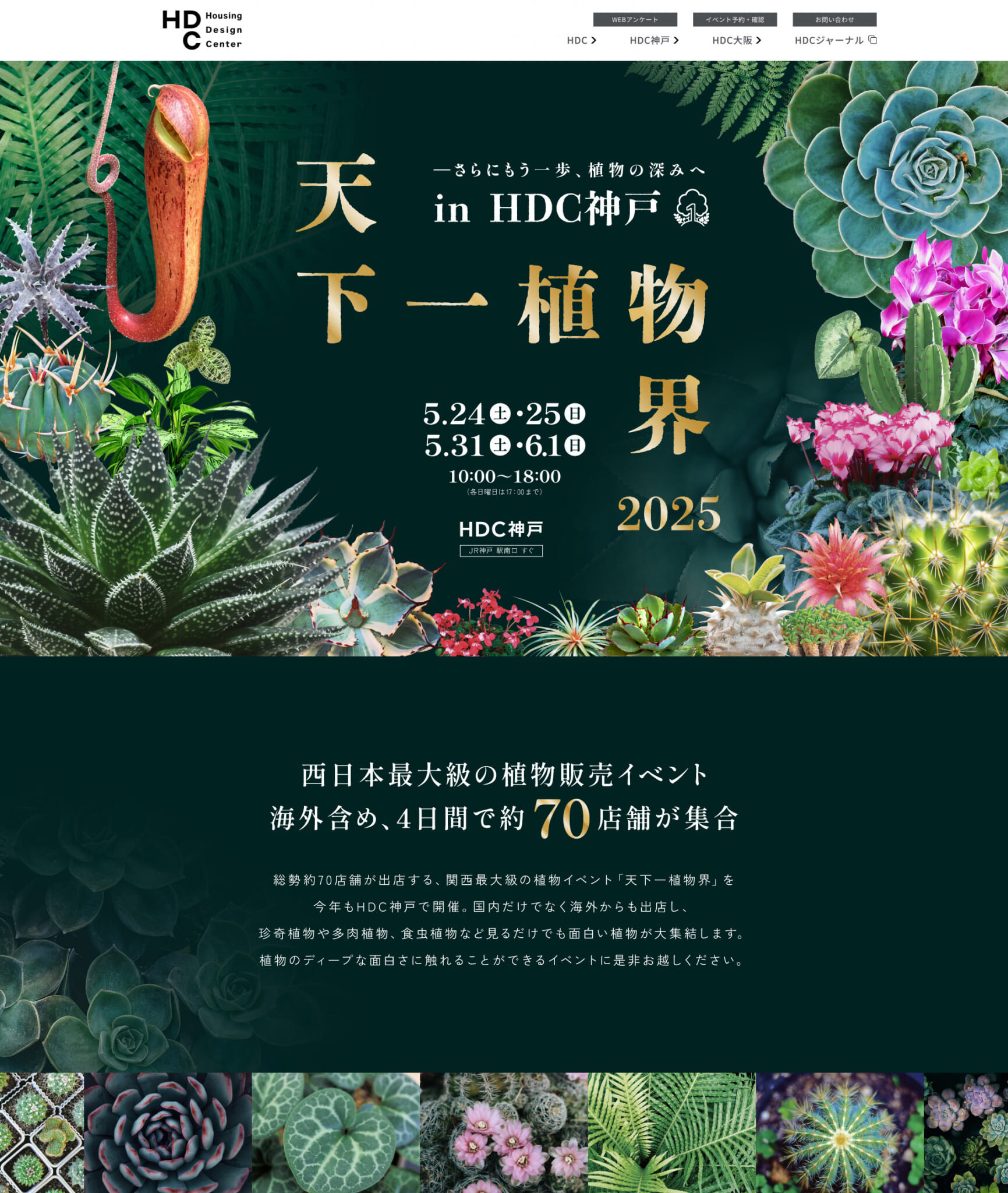 天下一植物界2026最新攻略！激レア植物を射止める整理券と裏技