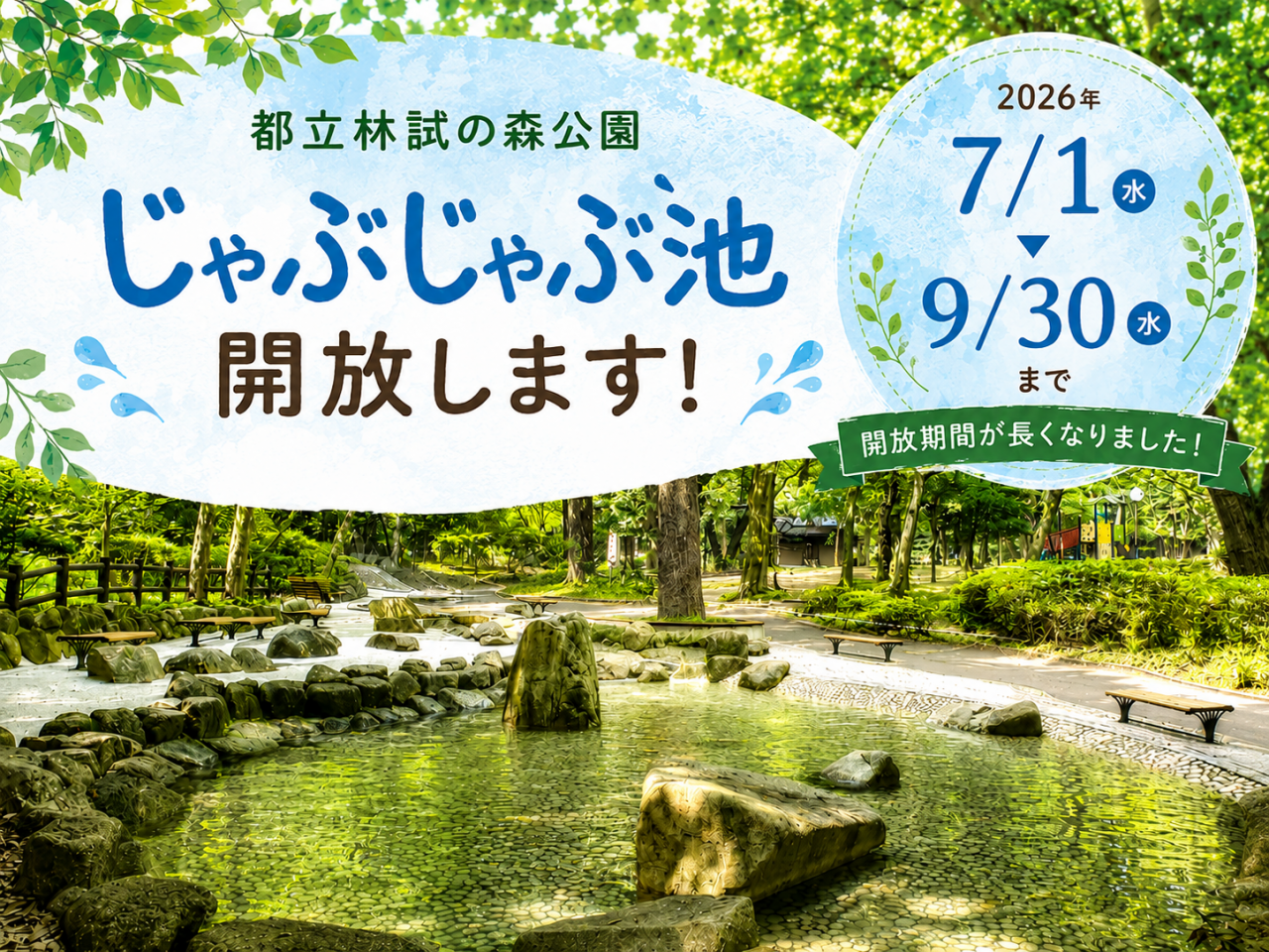 林試の森公園の真相！巨木と水遊びで愛される5つの理由