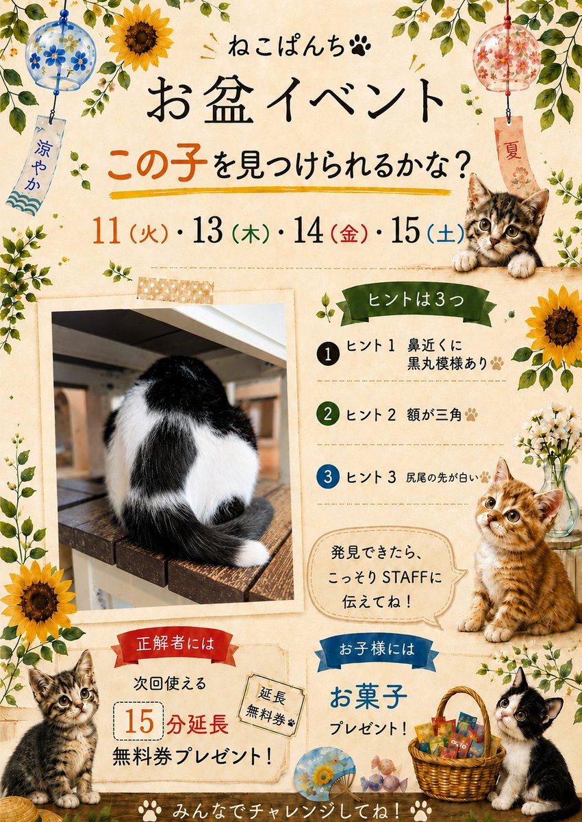 話題の猫カフェねこぱんち徹底解剖！料金や評判・混雑攻略法まで