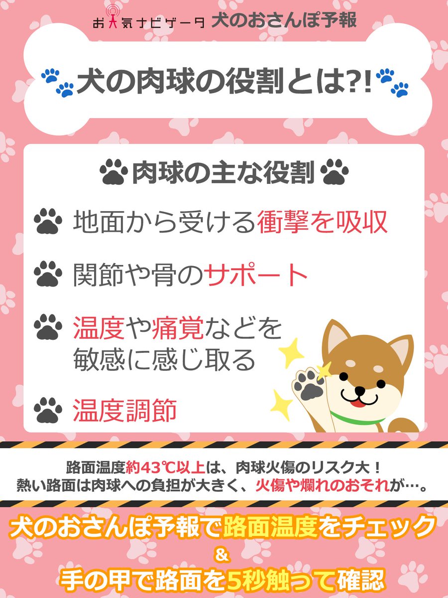 愛犬の肉球が熱いのは病気？眠気と熱中症の見分け方と対処法