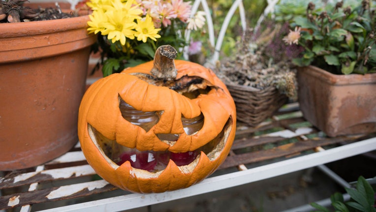 What to Do with Old Pumpkins