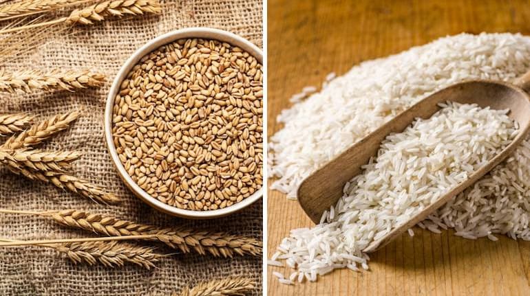 Is Rice Made of Wheat