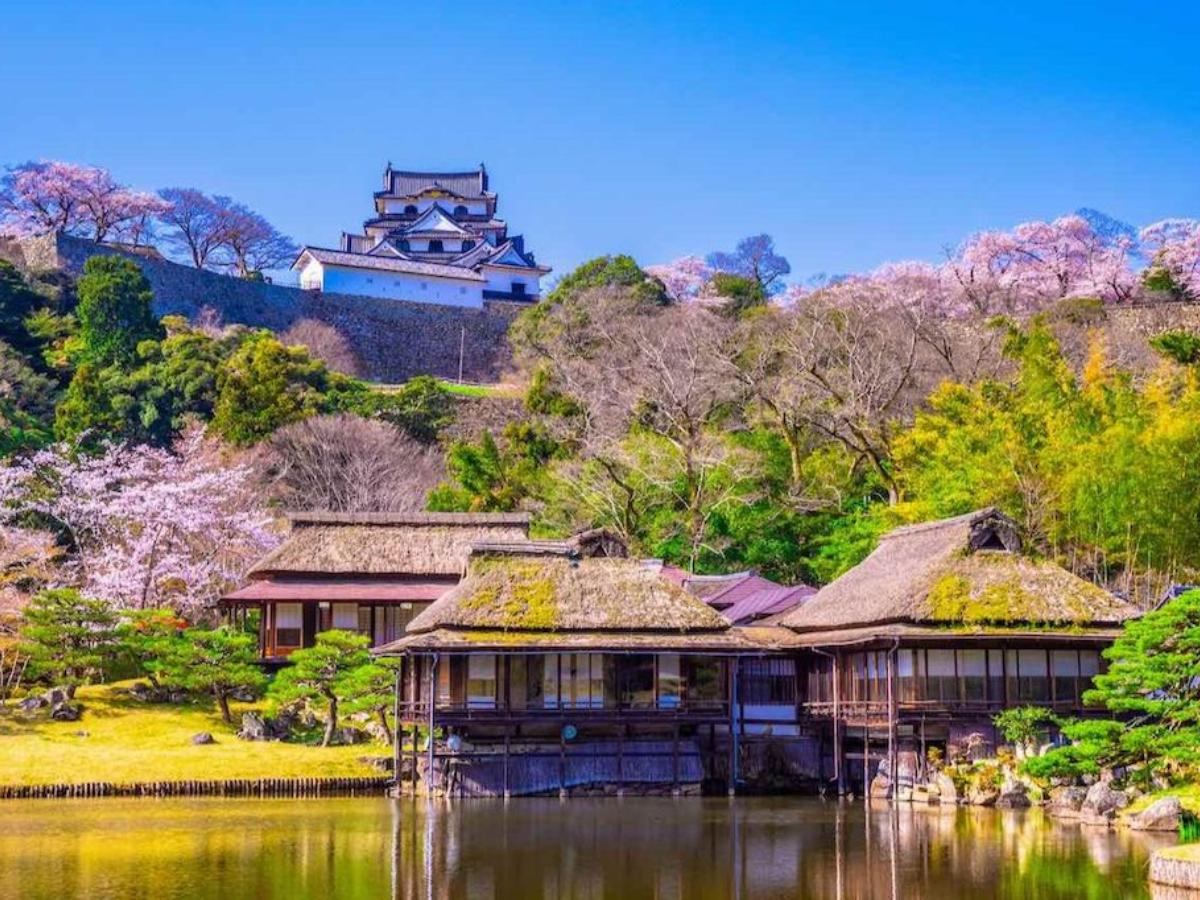 【2026最新】彦根市観光の日帰り完全攻略！地元民が教える城巡り＆絶品近江牛