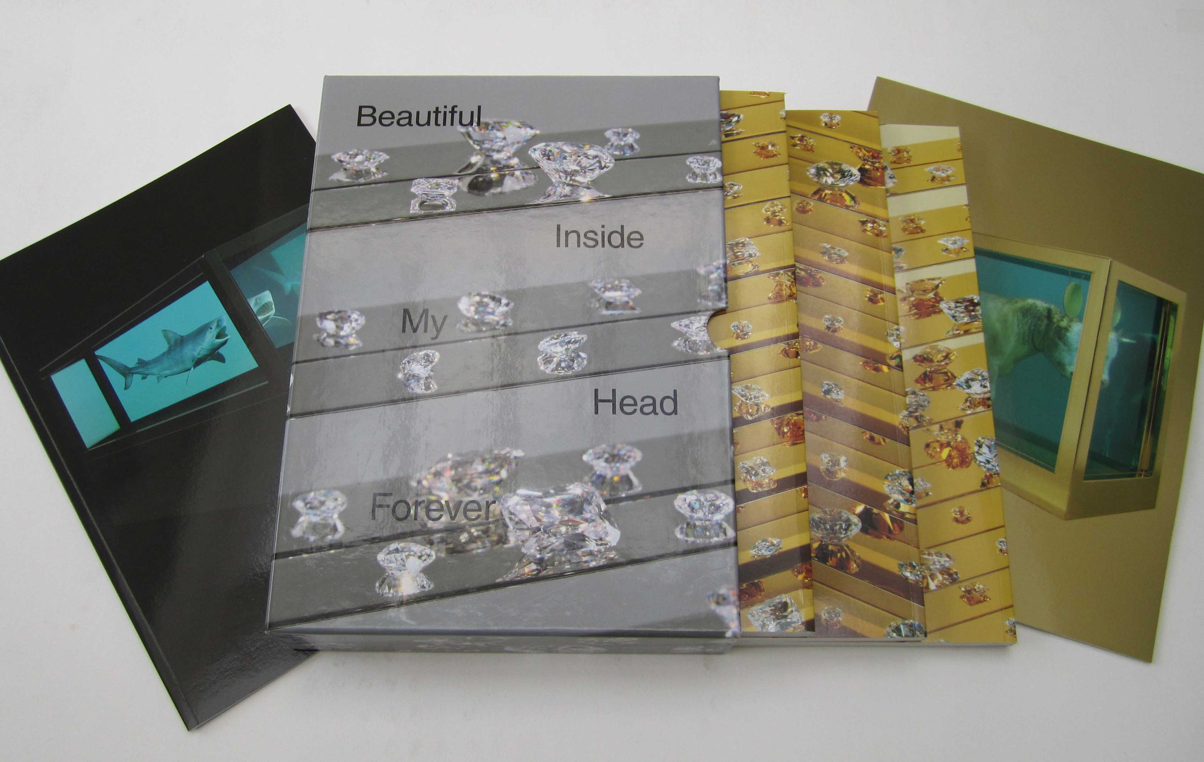 Beautiful Inside My Head Forever Catalogue
