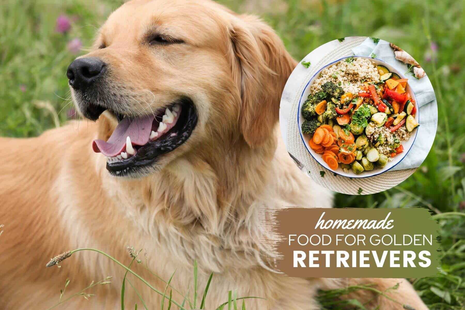 Golden Retriever Puppy Food