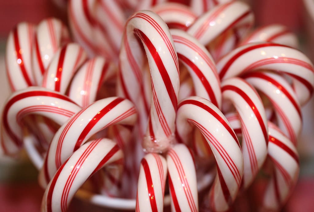 How Long Do Candy Canes Last